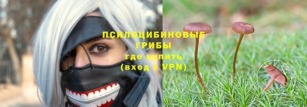 2c-b Абаза