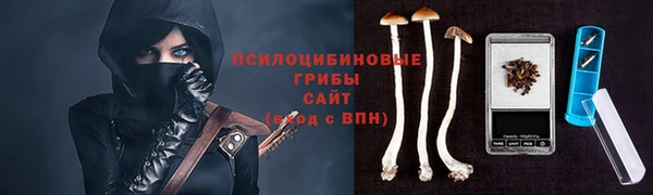 2c-b Абаза